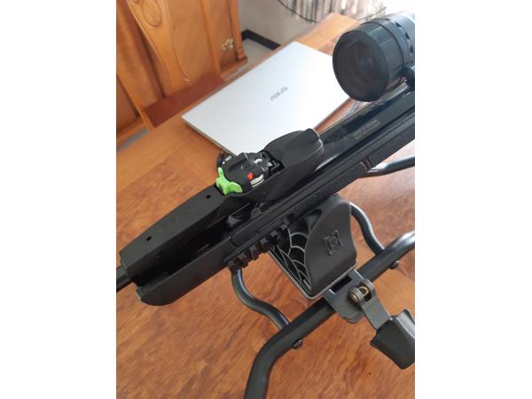 Gamo Swarm Magnum Pro IGT